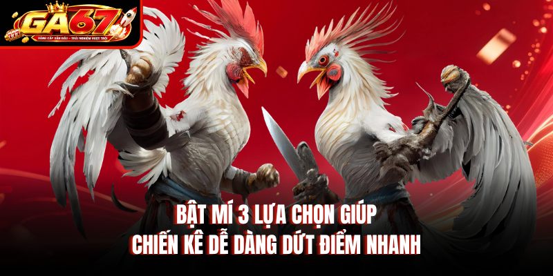 Bật mí 3 lựa chọn giúp chiến kê dễ dàng dứt điểm nhanh Bật mí 3 lựa chọn giúp chiến kê dễ dàng dứt điểm nhanh