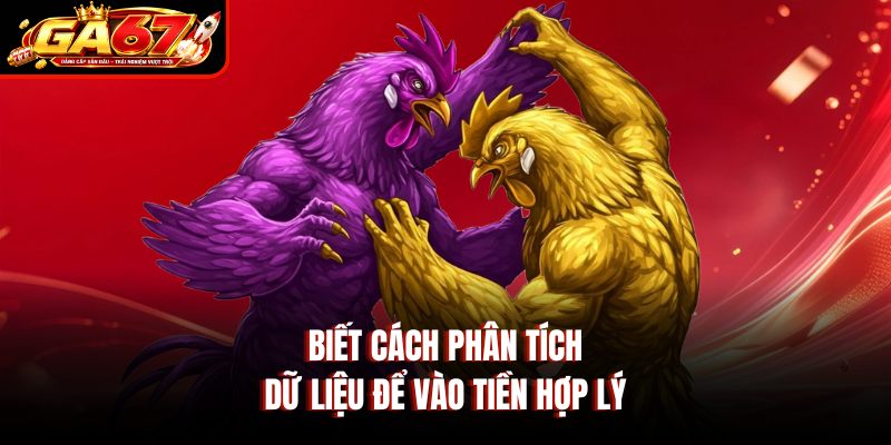 Biết cách phân tích dữ liệu để vào tiền hợp lý Biết cách phân tích dữ liệu để vào tiền hợp lý