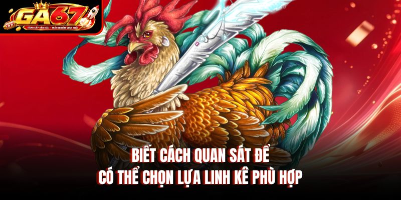 Biết cách quan sát để có thể chọn lựa linh kê phù hợp Biết cách quan sát để có thể chọn lựa linh kê phù hợp