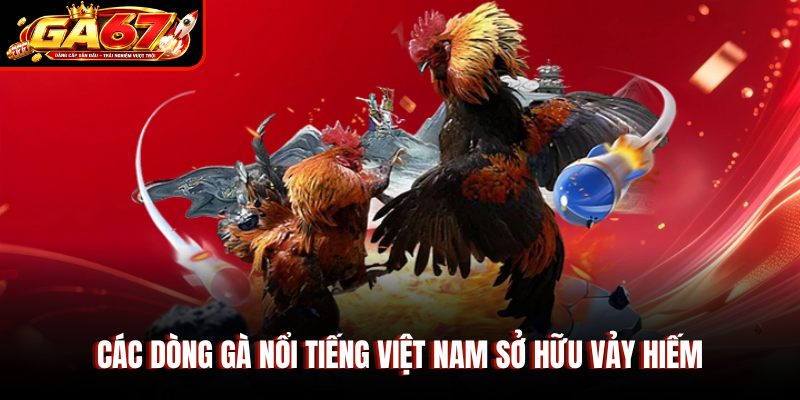 Các dòng gà nổi tiếng Việt Nam sở hữu vảy hiếm Các dòng gà nổi tiếng Việt Nam sở hữu vảy hiếm