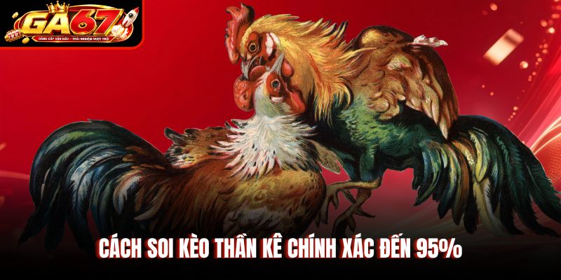 Cách soi kèo thần kê chính xác đến 95% Cách soi kèo thần kê chính xác đến 95%