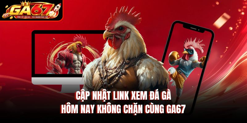 Cập nhật link xem đá gà hôm nay không chặn cùng GA67 Cập nhật link xem đá gà hôm nay không chặn cùng GA67