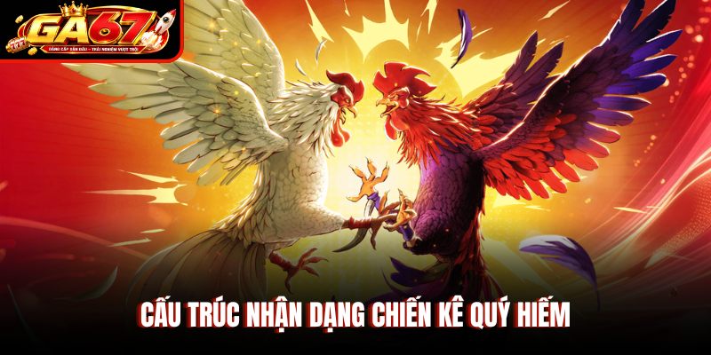 Cấu trúc nhận dạng chiến kê quý hiếm Cấu trúc nhận dạng chiến kê quý hiếm