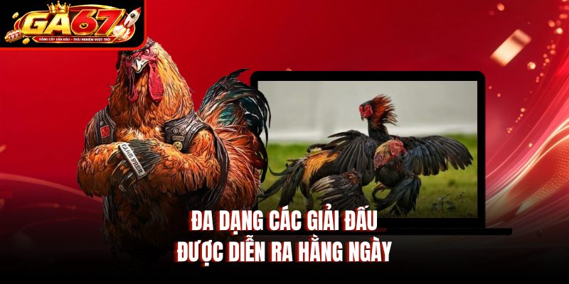 Đa dạng các giải đấu được diễn ra hằng ngày Đa dạng các giải đấu được diễn ra hằng ngày