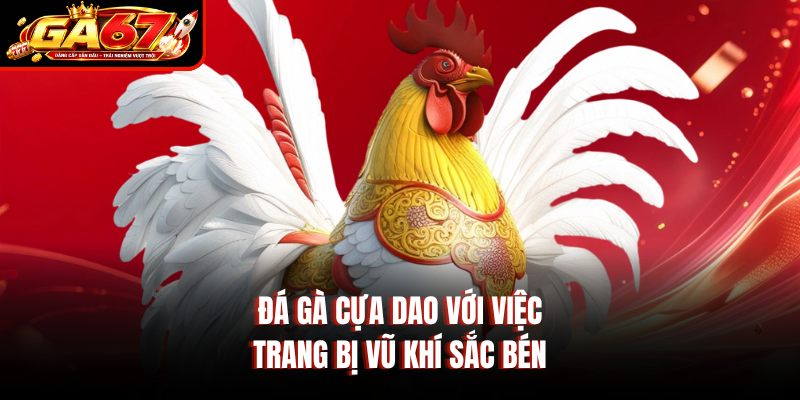 Đá gà cựa dao với việc trang bị vũ khí sắc bén Đá gà cựa dao với việc trang bị vũ khí sắc bén