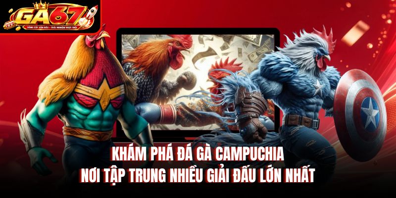 Khám phá đá gà Campuchia nơi tập trung nhiều giải đấu lớn nhất Khám phá đá gà Campuchia nơi tập trung nhiều giải đấu lớn nhất