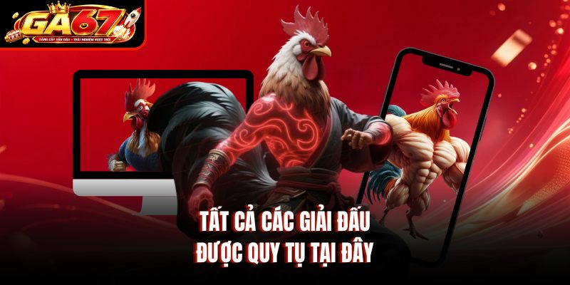 Tất cả các giải đấu được quy tụ tại đây Tất cả các giải đấu được quy tụ tại đây