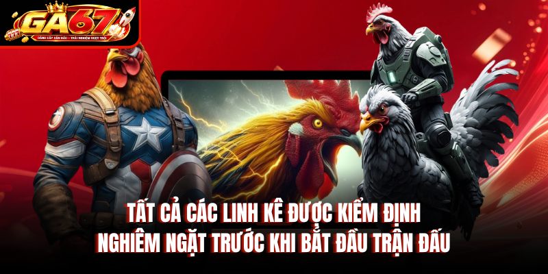 Tất cả các linh kê được kiểm định nghiêm ngặt trước khi bắt đầu trận đấu Tất cả các linh kê được kiểm định nghiêm ngặt trước khi bắt đầu trận đấu