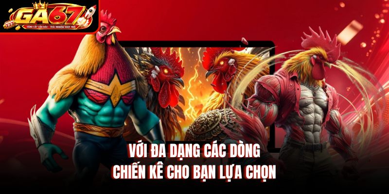 Với đa dạng các dòng chiến kê cho bạn lựa chọn Với đa dạng các dòng chiến kê cho bạn lựa chọn