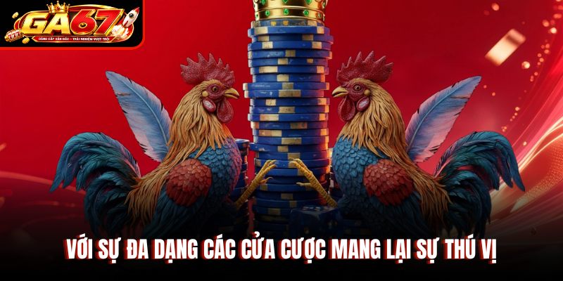 Với sự đa dạng các cửa cược mang lại sự thú vị Với sự đa dạng các cửa cược mang lại sự thú vị