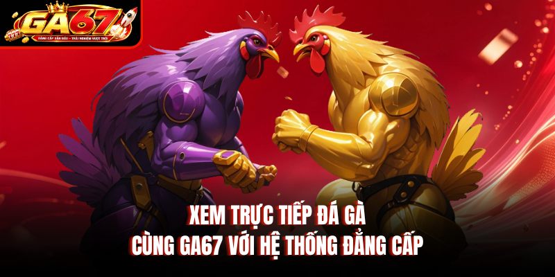 Xem trực tiếp đá gà cùng GA67 với hệ thống đẳng cấp Xem trực tiếp đá gà cùng GA67 với hệ thống đẳng cấp